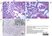 Anti Influenza A Nucleoprotein Antibody, clone AA5H thumbnail image 7