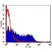 Anti M13 Bacteriophage Antibody, clone E1 thumbnail image 1
