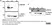 Anti Rabies Virus Glycoprotein Antibody, clone 1C5 thumbnail image 2