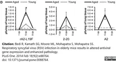 Anti Respiratory Syncytial Virus Fusion Protein Antibody, clone RSV3216 (B016) gallery image 2