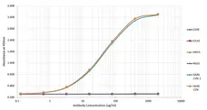 Anti SARS-CoV Nucleoprotein Antibody, clone 3851 gallery image 2