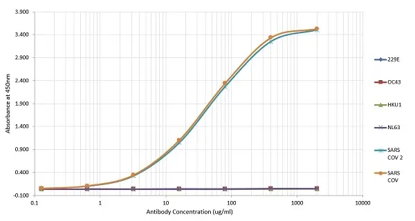 Anti SARS-CoV Nucleoprotein Antibody, clone 3851 gallery image 2