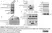 Anti V5-Tag Antibody, clone SV5-Pk1 thumbnail image 1