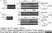 Anti V5-Tag Antibody, clone SV5-Pk1 thumbnail image 11