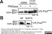 Anti V5-Tag Antibody, clone SV5-Pk1 thumbnail image 17