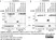 Anti V5-Tag Antibody, clone SV5-Pk1 thumbnail image 22