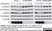 Anti V5-Tag Antibody, clone SV5-Pk1 thumbnail image 3