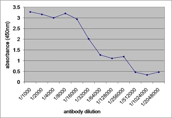 Anti V5-Tag Antibody, clone SV5-Pk1 gallery image 30