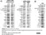 Anti V5-Tag Antibody, clone SV5-Pk1 thumbnail image 33