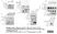 Anti V5-Tag Antibody, clone SV5-Pk1 thumbnail image 4
