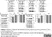 Anti V5-Tag Antibody, clone SV5-Pk1 thumbnail image 8