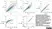 Anti V5-Tag Antibody, clone SV5-Pk2 thumbnail image 1