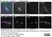 Anti Tubulin Alpha Antibody, clone YL1/2 thumbnail image 14