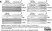 Anti Tubulin Alpha Antibody, clone YL1/2 thumbnail image 25