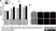 Anti Tubulin Alpha Antibody, clone YL1/2 thumbnail image 3