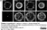 Anti Tubulin Alpha Antibody, clone YL1/2 thumbnail image 30
