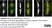 Anti Tubulin Alpha Antibody, clone YL1/2 thumbnail image 37