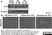 Anti Tubulin Alpha Antibody, clone YOL1/34 thumbnail image 1