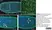 Anti Tubulin Alpha Antibody, clone YOL1/34 thumbnail image 2