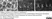 Anti Tubulin Alpha Antibody, clone YOL1/34 thumbnail image 28