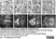 Anti Tubulin Alpha Antibody, clone YOL1/34 thumbnail image 29