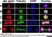 Anti Tubulin Alpha Antibody, clone YOL1/34 thumbnail image 7