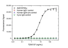 Anti YTE Mutations Antibody, clone AbD61602 gallery image 2