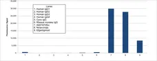 Anti YTE Mutations Antibody, clone AbD64785ad gallery image 1