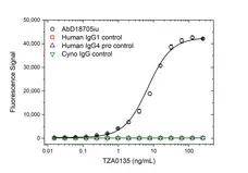 Anti YTE Mutations Antibody, clone AbD64785ad gallery image 2