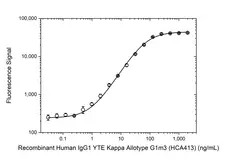 Anti YTE Mutations Antibody, clone AbD64785ad gallery image 3