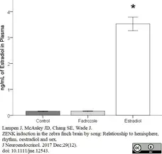 Anti 17-beta-Estradiol Antibody gallery image 2