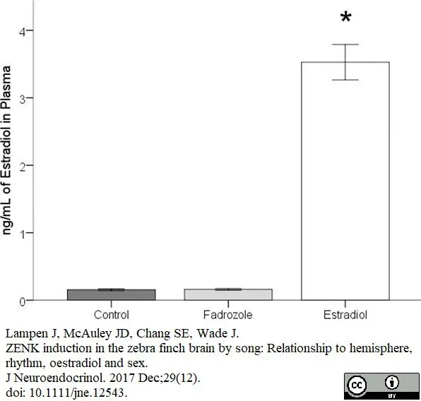Anti 17-beta-Estradiol Antibody gallery image 2