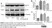Anti Amyloid Precursor Protein (C-Terminal) Antibody thumbnail image 3