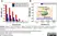 Rabbit Anti Escherichia coli Antibody  thumbnail image 3