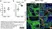Goat Anti Escherichia coli Antibody  thumbnail image 8
