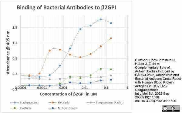 Anti Mycobacterium tuberculosis Antibody gallery image 1