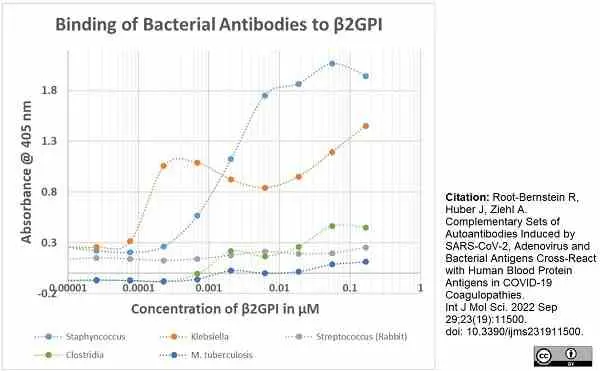 Anti Mycobacterium tuberculosis Antibody gallery image 2