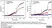 Anti Salmonella Group Antigen Antibody thumbnail image 2