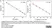 Anti Salmonella Group Antigen Antibody thumbnail image 4