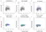 Anti BrdU Antibody thumbnail image 3