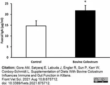 Anti Cat IgA Antibody gallery image 1