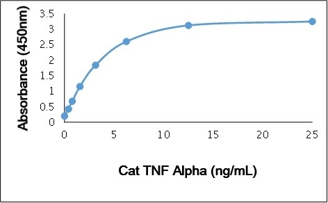 Anti Cat TNF Alpha Antibody gallery image 1