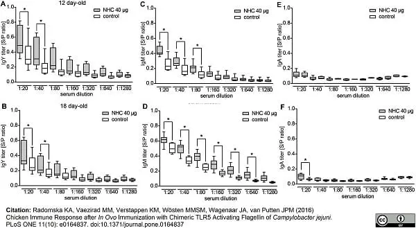 Anti Chicken IgA Antibody gallery image 4