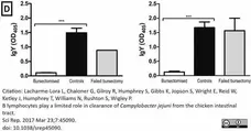 Anti Chicken IgG (H/L) Antibody gallery image 1