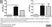 Anti Chicken IgG (H/L) Antibody thumbnail image 1