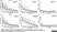 Anti Chicken IgG (Fc) Antibody thumbnail image 2