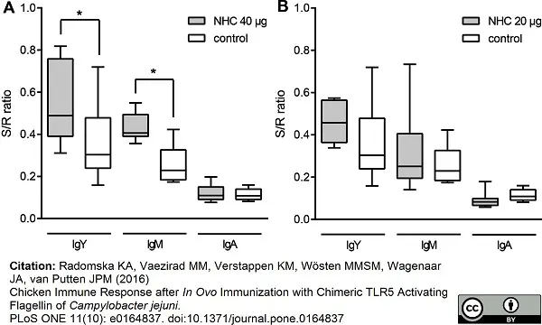 Anti Chicken IgM Antibody gallery image 2