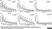 Anti Chicken IgM Antibody thumbnail image 3