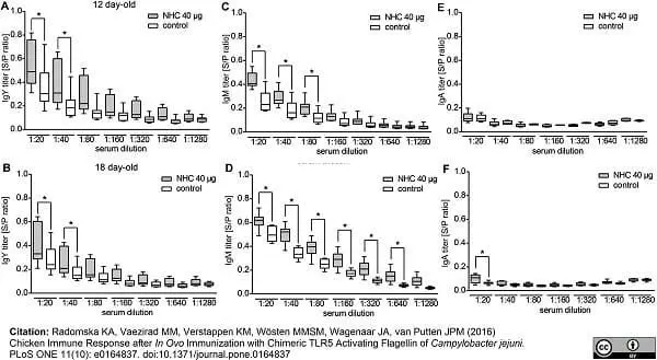 Anti Chicken IgM Antibody gallery image 3