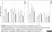 Anti Chicken IgM Antibody thumbnail image 4